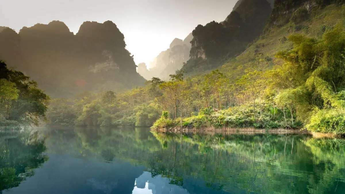 可靠性绿色高端